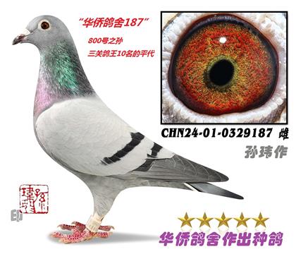 7��--800��֮��-0329187��