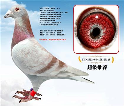 推荐、迪克.范登布克“基特尔”直子X‘格里佩“直女