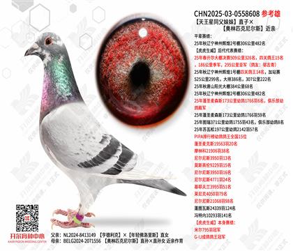 ������ͬ������ֱ�ӡ�����ƥ�����˹����