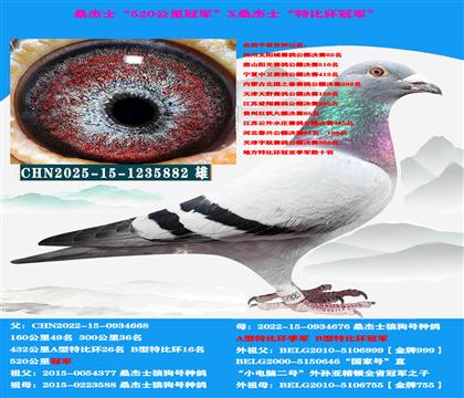 ��ɽ������ �Կ����ͣ��ƹ��������� ������ѡ