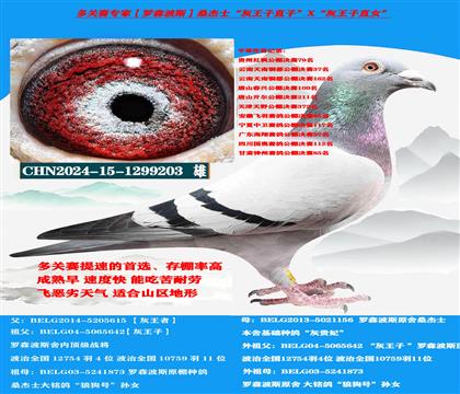 ��ɽ������ �Կ����ͣ���ɭ��˹ɣ��ʿ����������ָ�