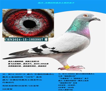 ��ɽ������ �Կ����ͣ�ɣ��ʿ����������ָ�