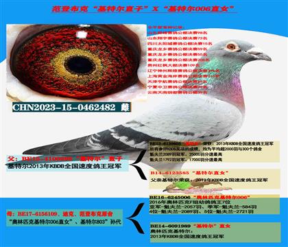 ���ǲ��ˡ����ض���ֱ��X�����ض�006��ȫ����