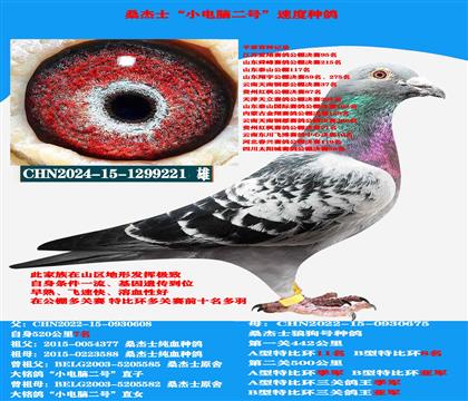 ���Կ����� �����������ƹ��ٶ��ָ�