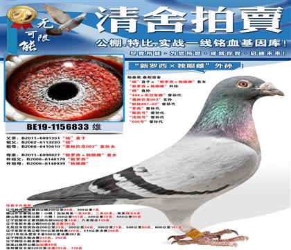 ˹̩��.̩˹ԭ�� ���ֱ�ӡ��������������۴ơ�ֱŮ ������