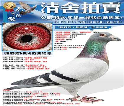 �������������۴ơ������������ƥ��003��ֱ��Ů ����������