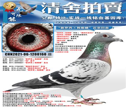 ��500����14�����������������۴ơ����׻�Ѫ����� ������