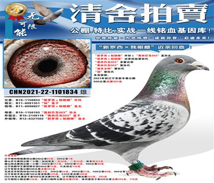 ����̩����381�����������������۴ơ����׻�Ѫ����� ������