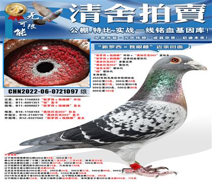 600����191�� �������������۴ơ������������ƥ��003