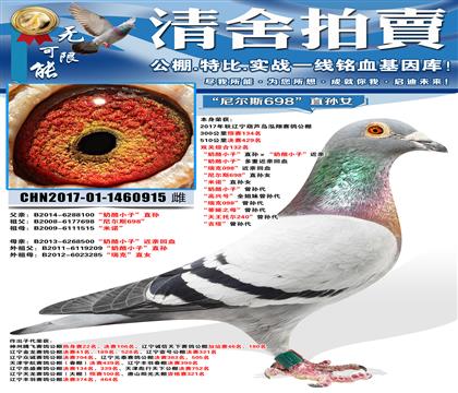 ���������429����������С�ӡ�ֱ���������С�ӡ����� ����