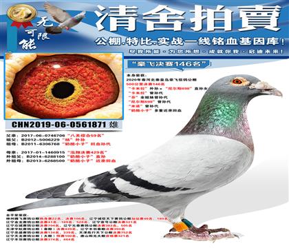 �����ɾ���146������������������������˹698��ֱ��Ů