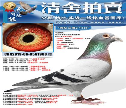 ���캽����214������������������������˹698��ֱ��Ů