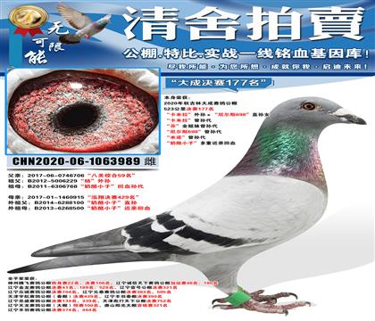 ����ɾ���177������������������������˹698��ֱ��Ů