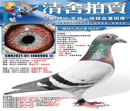 ��������޾���188������������������������˹698��ֱ��