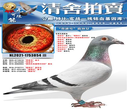 �����ֵ�ԭ�� ���漣�š�ֱ�ӡ������ض���ֱ��Ů ���ú��ȫ��