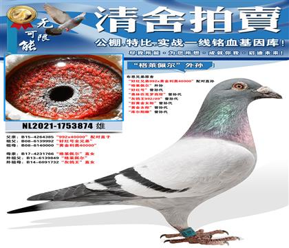 �����ֵ�ԭ�� ���ú��ֵ�992x�ƽ�����40000�����ֱ��