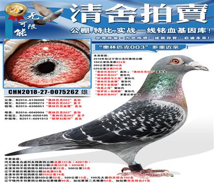 ��������235��������ƥ��003��ֱ���������ƥ��003��ֱ