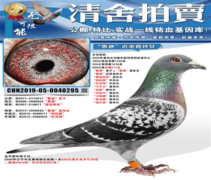 ����Ǭ�����511����³�ϡ�ֱ�ӡ���³�ϡ�ֱ��Ů ��³�ϡ���