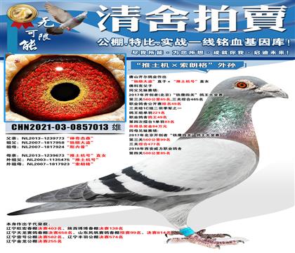 ��ɽ������ҵ.��ƿ˸��ӡ����۴����ֱ�ӡ����������š�ֱŮ