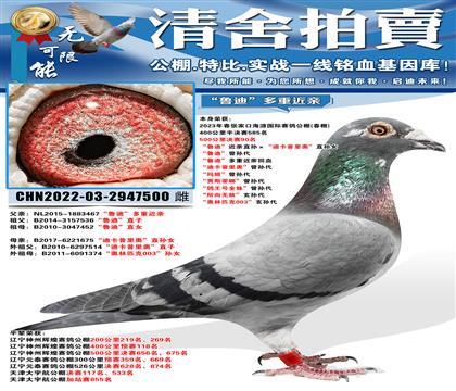 �żҿں�Դ����90����³�ϡ�����ֱ������Ͽ�����¡�ֱ��Ů