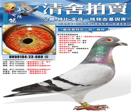 �������׿�˹����ԭ�� ����ѻ��ض�������ֱ�ӡ�����ѻ��ض�ȫ