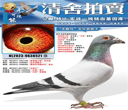 ����.���ʿ˻�˹��ԭ�� �������С�㡱ȫ�ֵܡ����󱼡�ֱ��Ů