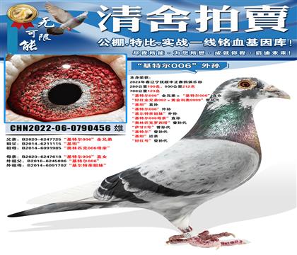 700����123�������ض�006��ȫ�ֵܡ������ض�006��ֱ