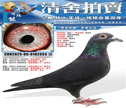 ���ڽ����ҡ�ֱ������ڽ����ҡ�ֱ��Ů ���ڽ����ҡ����ؽ��׻�