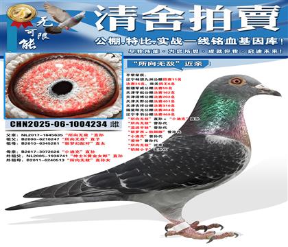 �������޵С�ֱ�����С�Ͽˡ�ֱ�� �������޵С������ ������