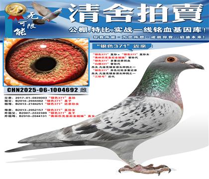 ����ɫ371��ֱ�������ɫ371��ֱ��Ů ������ƥ�˻ʺ�ȫ��