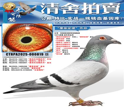 ������ƥ��쫷�š��������ī�ƶ��ɡ�ֱŮ ��ī�ƶ��ɡ�����