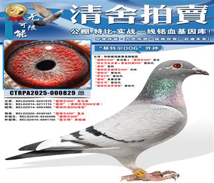 ������ƥ�˻��ض�006������Ů �����ض�������� ������2��