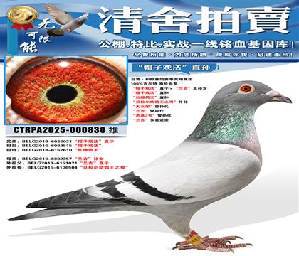 ��ñ��Ϸ����ֱ�ӡ���������ֱ��Ů ��ñ��Ϸ����ֱ�� ����Ƹ�