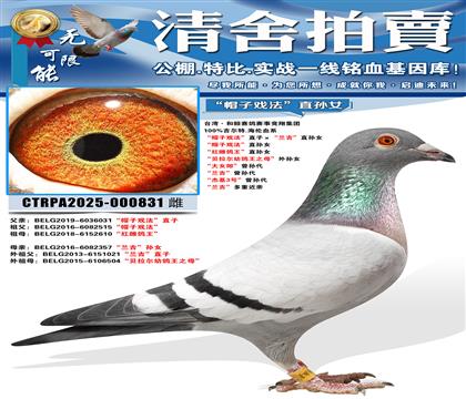 ��ñ��Ϸ����ֱ�ӡ���������ֱ��Ů ��ñ��Ϸ����ֱ��Ů �����