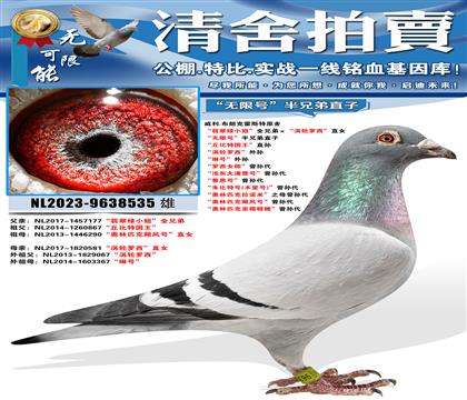 ����.���ʿ˻�˹��ԭ�� �������С�㡱ȫ�ֵܡ�������������ֱ