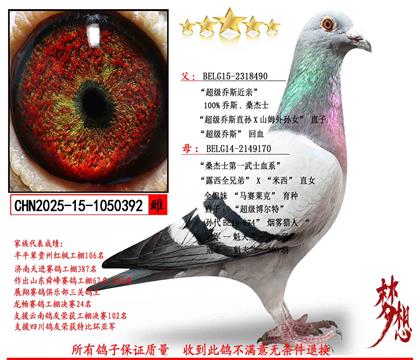 ����˹�� ɣ��ʿ�����ִ�392