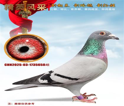 һ���ϰ������������λ