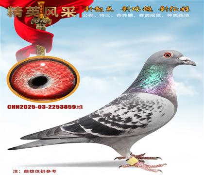 500����162����500����226��