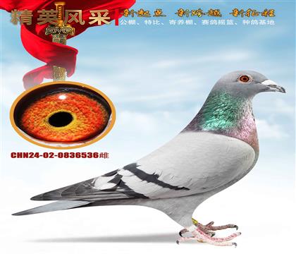 ���־��ܽ�ͷֱ��.���������Ů