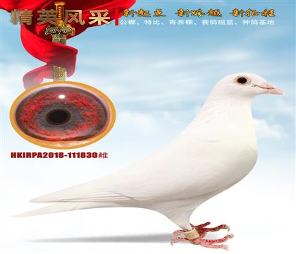 ��˹���ŵ�����.С���