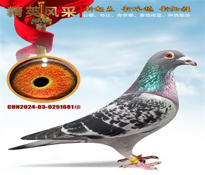 ȫ����ս����塢ǧ����ھ��Ǿ�ȫƽ��