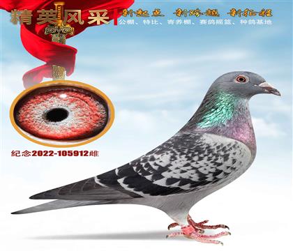 �ٶ�֮��.��������˹