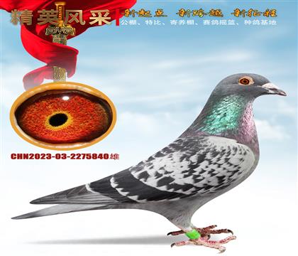 ������ҵ����ֱ��.ֱŮ