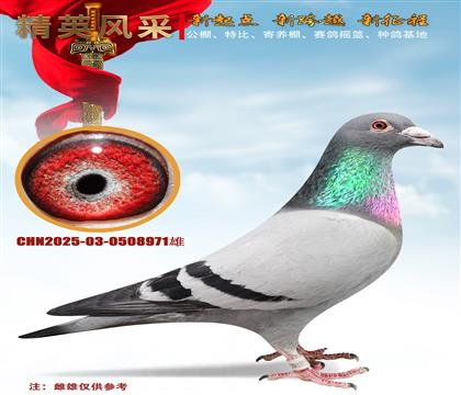 ��ɣ��ʿֱ��.55555ֱŮ