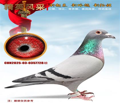 ��ɣ��ʿ���.5555ֱŮ