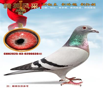 ɣ��ʿͷ�Żƽ�����.��������