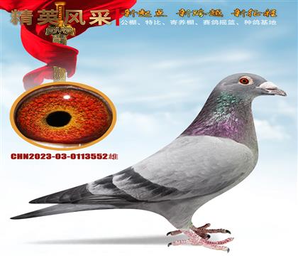 ɣ��ʿ��һ���ۡ���ľ��