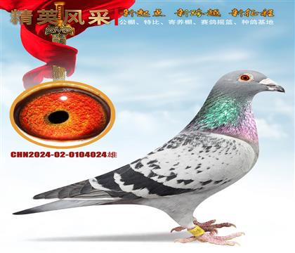 ���־��Ჱ.�������