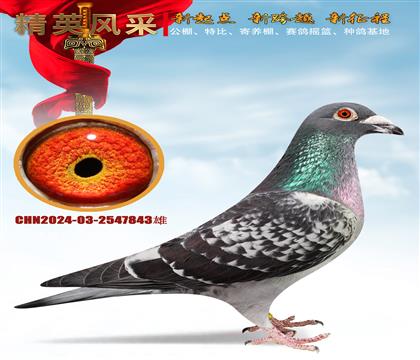 ȫ����ս����塢ʵս