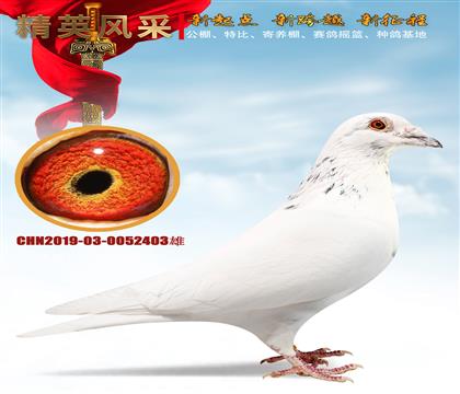 ���ǻ��������ǧ�����Ǿ�